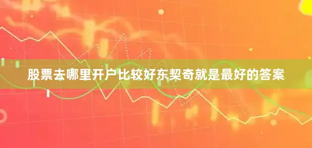 股票去哪里开户比较好东契奇就是最好的答案